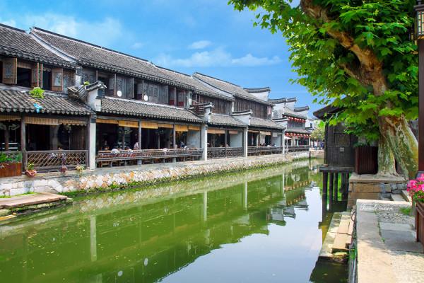 河南：赛出真才“食”学 让“菜篮子”代替“药罐子”